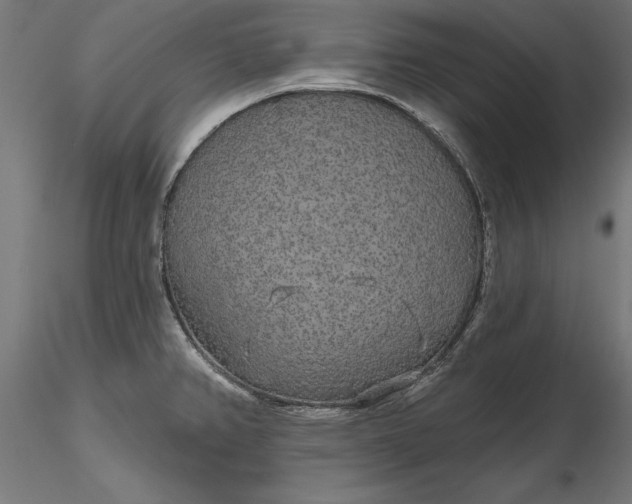 X0000116851382201001051457