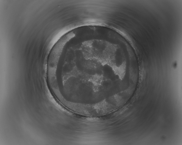 X0000116851383201001051457