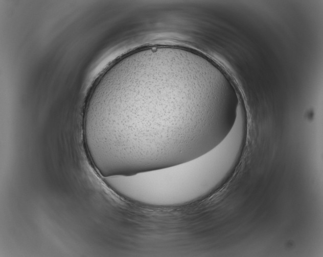 X0000116851384201001051457