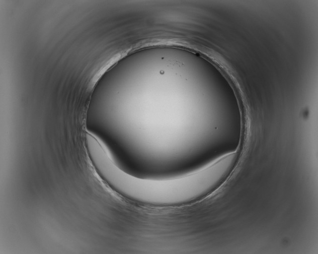 X0000116851385201001051457