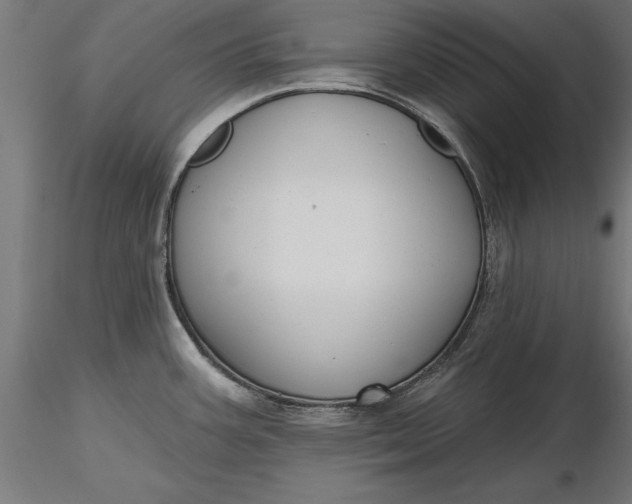 X0000116851387201001051457