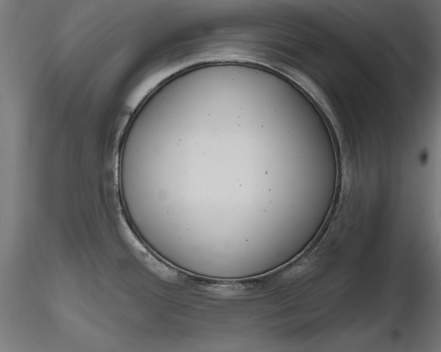 X0000116851388201001051457