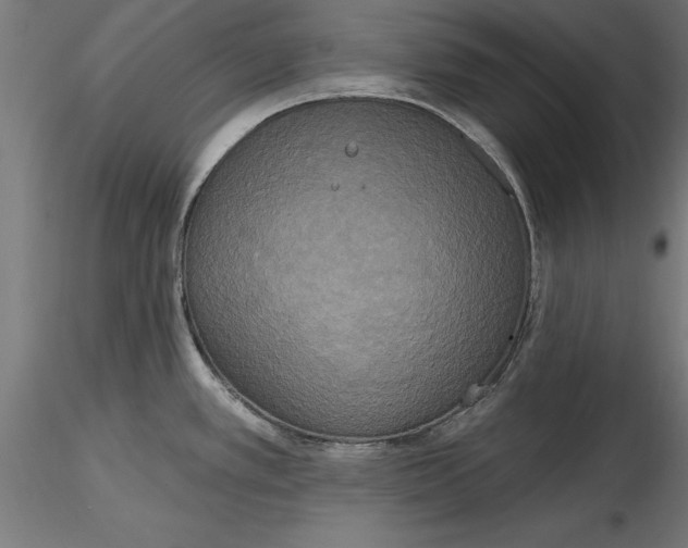 X0000116851389201001051457