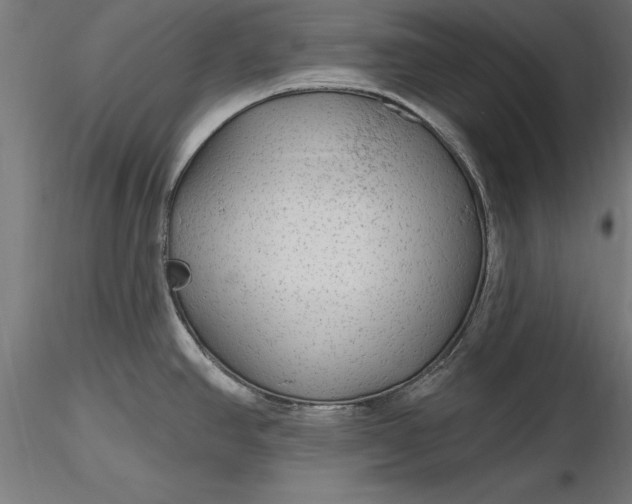 X0000116851390201001051457