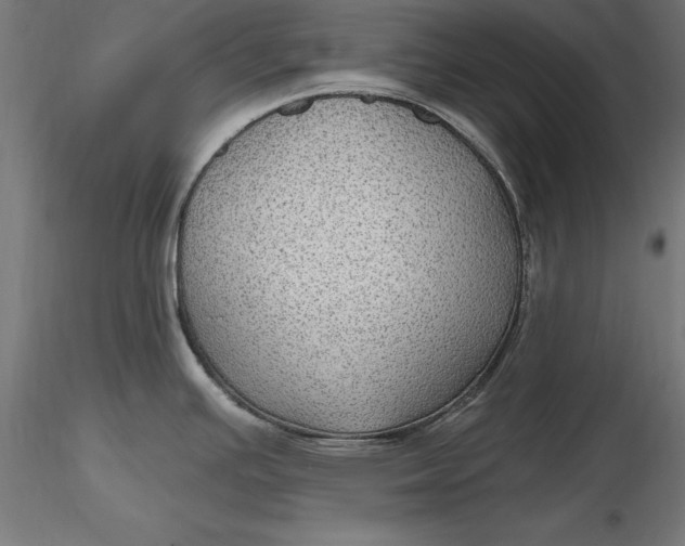X0000116851391201001051457