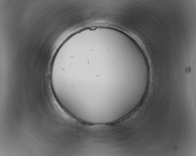 X0000116851392201001051457
