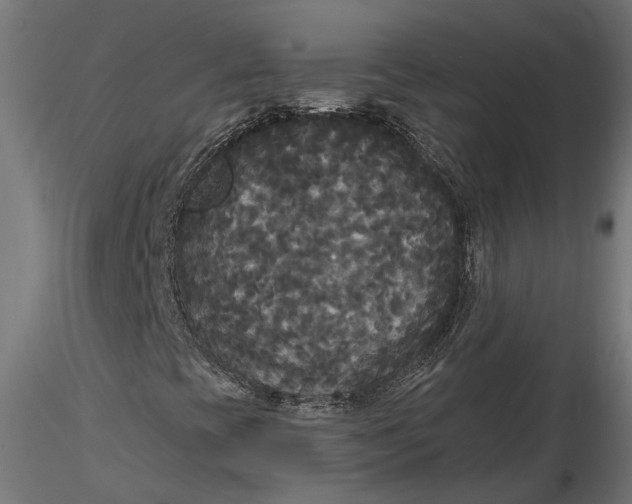 X0000116851393201001051456