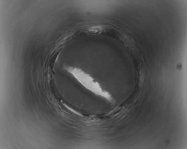 X0000116851394201001051456