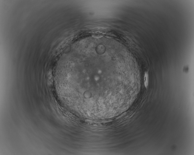 X0000116851395201001051456