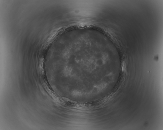 X0000116851396201001051456