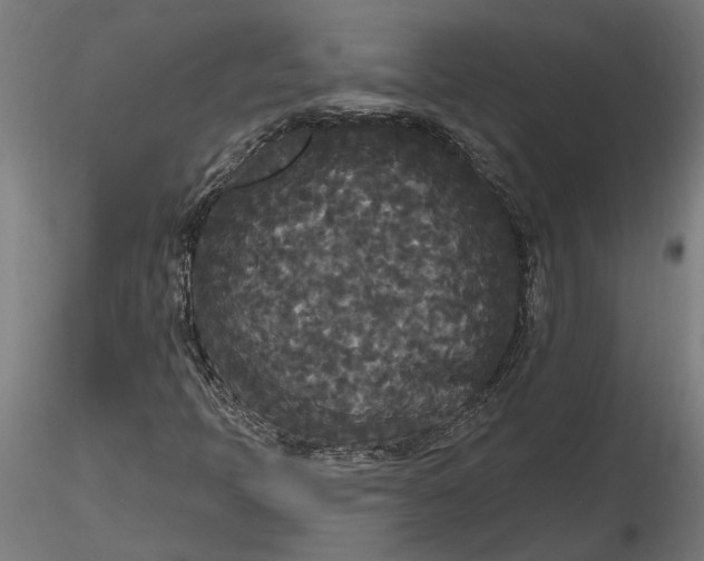 X0000116851397201001051456