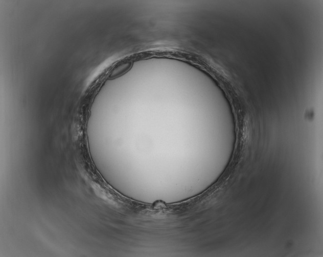 X0000116851400201001051456