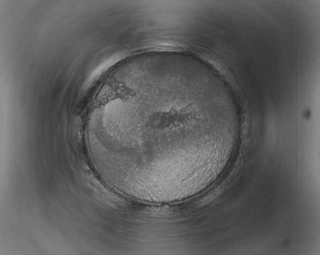 X0000116851402201001051456