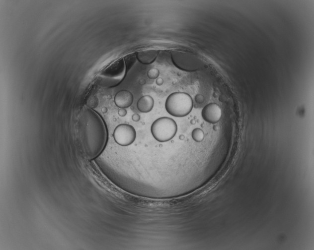 X0000116851403201001051456