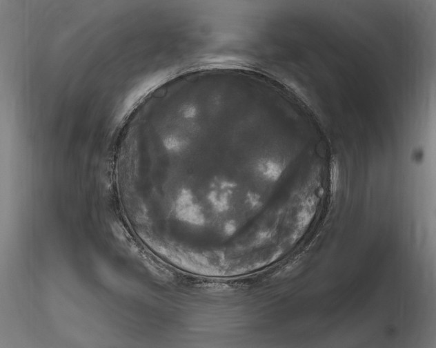 X0000116851405201001051456
