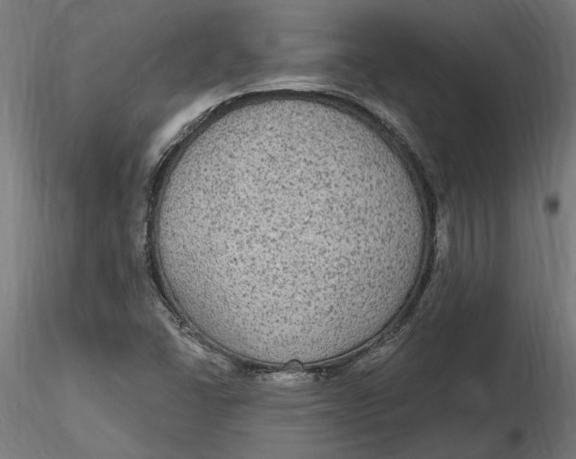 X0000116851406201001051456