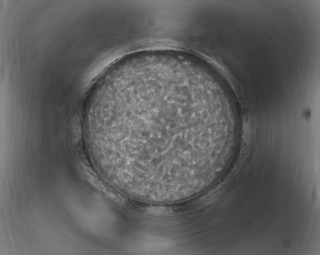 X0000116851407201001051456