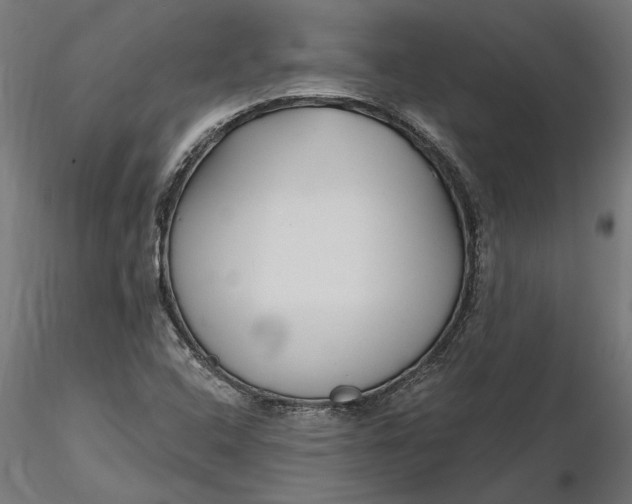 X0000116851408201001051456