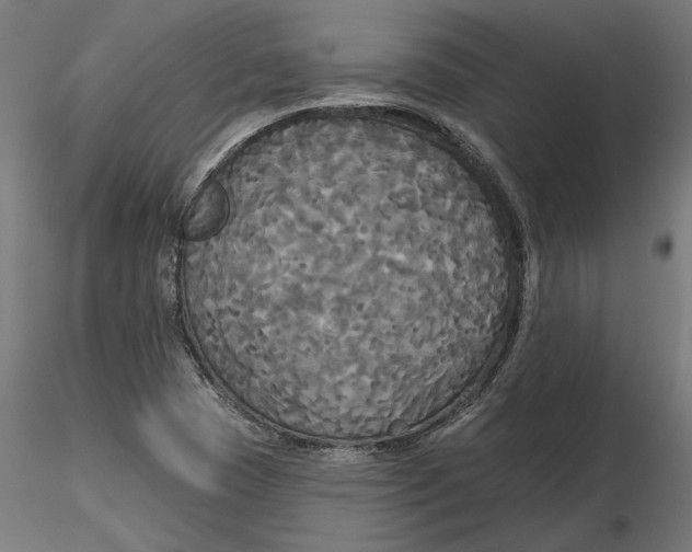 X0000116851409201001051456