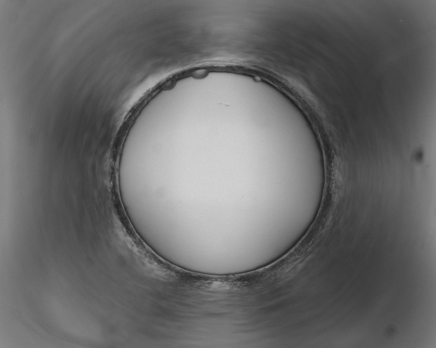 X0000116851412201001051456