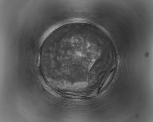 X0000116851413201001051456