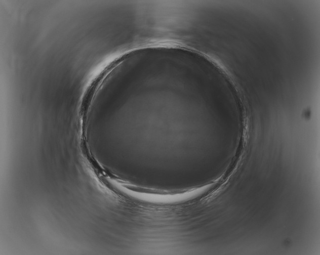 X0000116851414201001051456