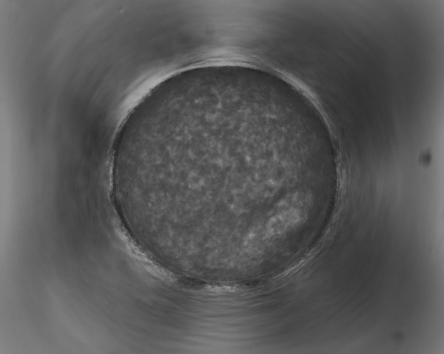 X0000116851415201001051456