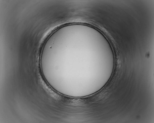X0000116851416201001051456