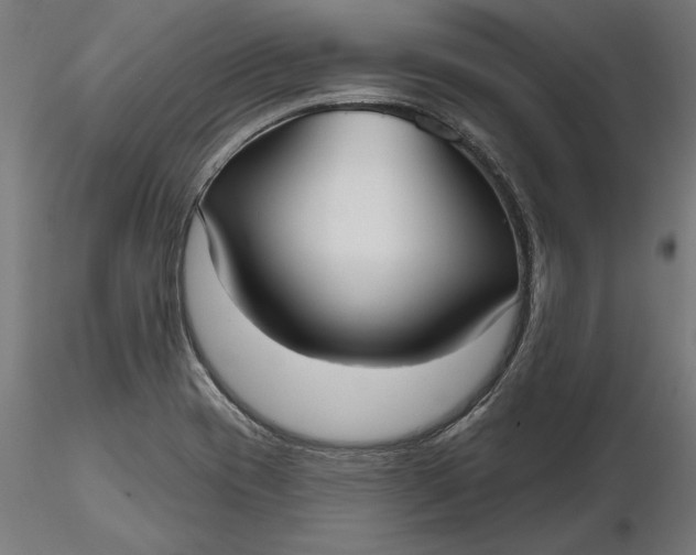 X0000116851417201001051456
