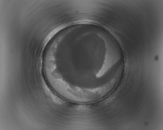 X0000116851418201001051456