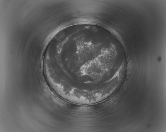 X0000116851419201001051457