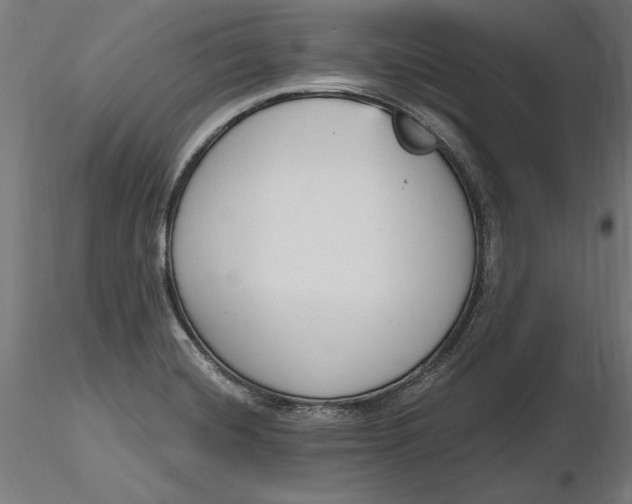 X0000116851420201001051457