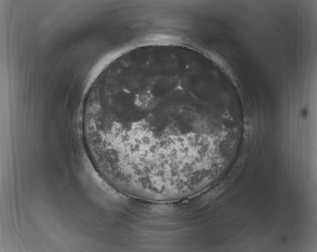 X0000116851421201001051457
