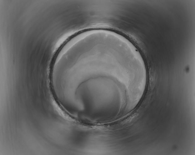 X0000116851422201001051457