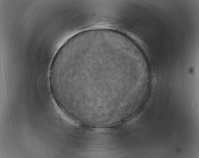 X0000116851423201001051457