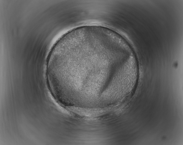 X0000116851424201001051457