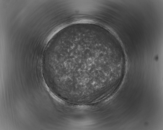 X0000116851425201001051457