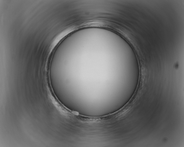 X0000116851426201001051457