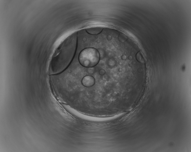 X0000116851427201001051457