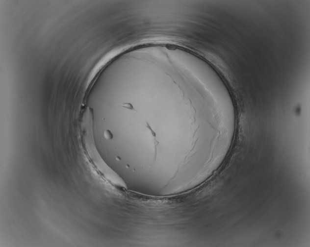 X0000116851428201001051457