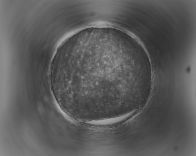 X0000116851429201001051457