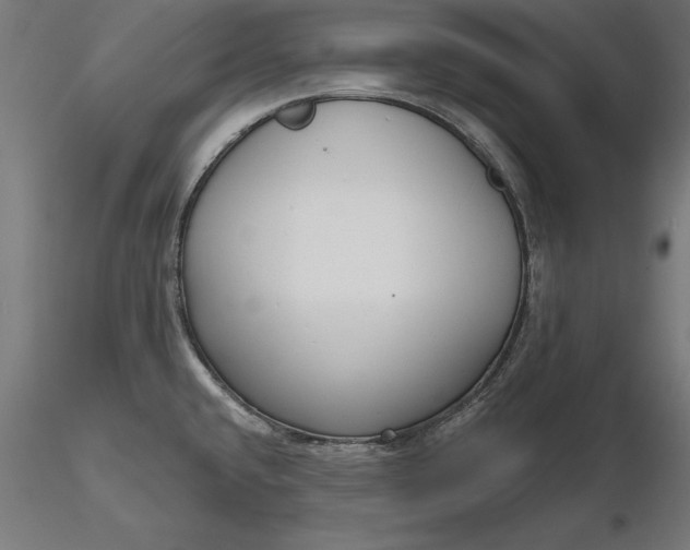 X0000116851432201001051457