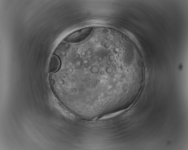 X0000116851435201001051457