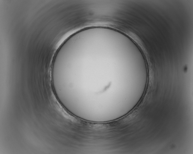 X0000116851436201001051457