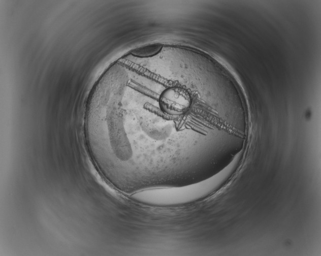 X0000116851437201001051457