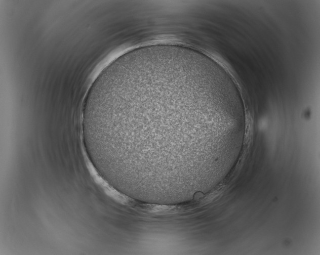 X0000116851439201001051457