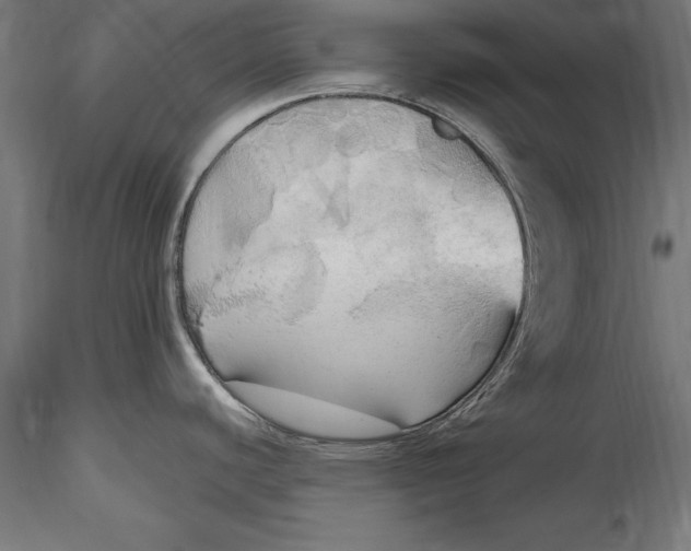 X0000116851440201001051457