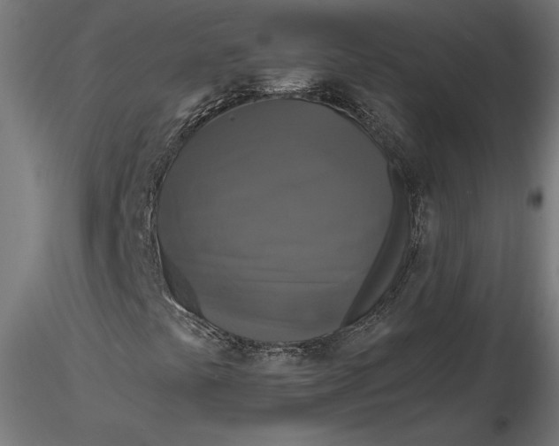 X0000116851441201001051456