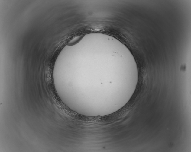 X0000116851442201001051456