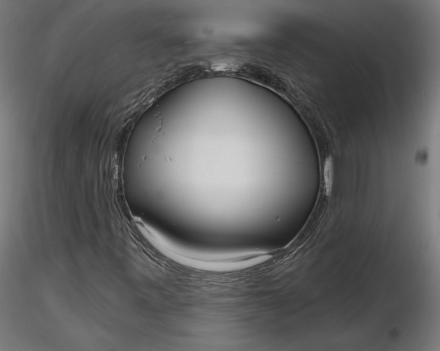 X0000116851443201001051456